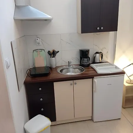 公寓式酒店 Gregovica 3*