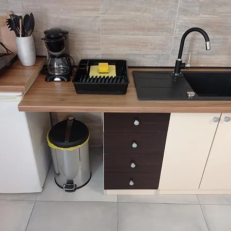 公寓式酒店 Gregovica