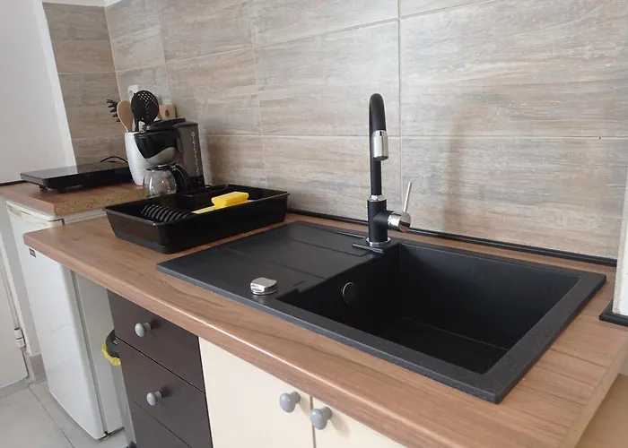 公寓式酒店 Gregovica 普拉